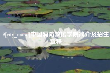 射阳中国消防救援学院简介及招生章程
