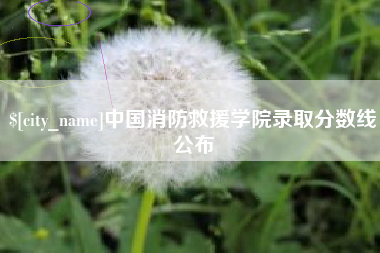 射阳中国消防救援学院录取分数线公布