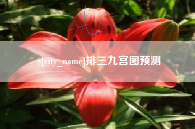 射阳排三九宫图预测