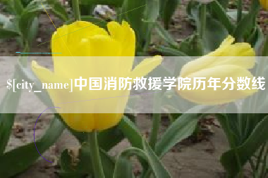 射阳中国消防救援学院历年分数线