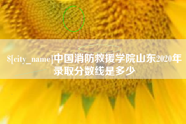 射阳中国消防救援学院山东2020年录取分数线是多少