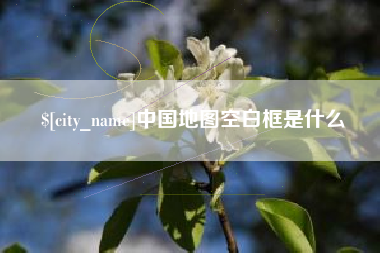 射阳中国地图空白框是什么