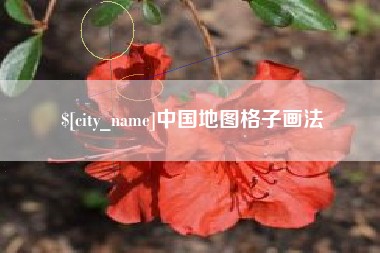 射阳中国地图格子画法