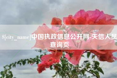 射阳中国执政信息公开网-失信人员查询页