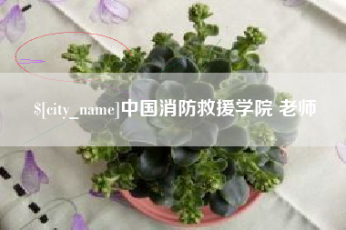 射阳中国消防救援学院 老师