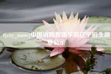 射阳中国消防救援学院辽宁招生简章公示
