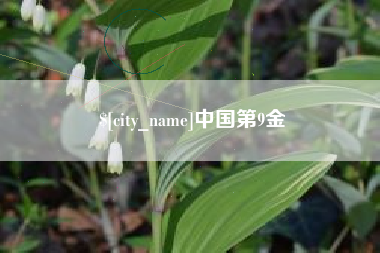 射阳中国第9金