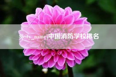 射阳中国消防学校排名