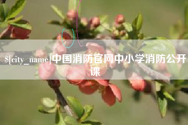 射阳中国消防官网中小学消防公开课