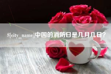 射阳中国的消防日是几月几日？