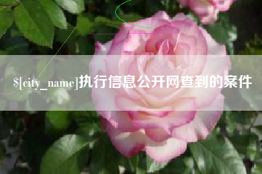 射阳执行信息公开网查到的案件