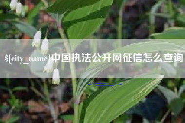 射阳中国执法公开网征信怎么查询