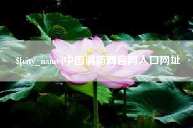 射阳中国消防网官网入口网址