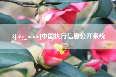 射阳中国执行信息公开系统