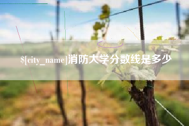 射阳消防大学分数线是多少