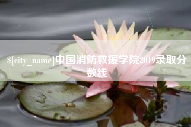 射阳中国消防救援学院2019录取分数线