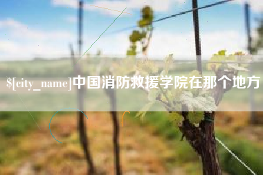 射阳中国消防救援学院在那个地方