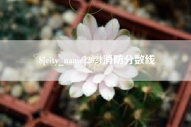 射阳2021消防分数线
