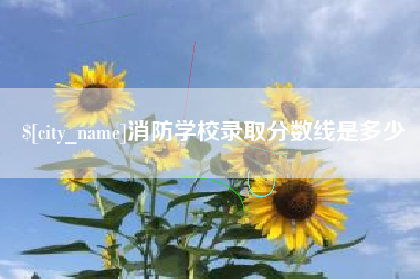 射阳消防学校录取分数线是多少
