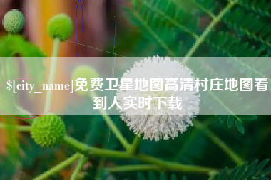 射阳免费卫星地图高清村庄地图看到人实时下载