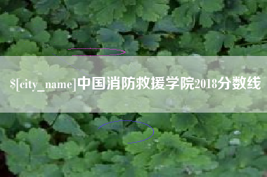 射阳中国消防救援学院2018分数线