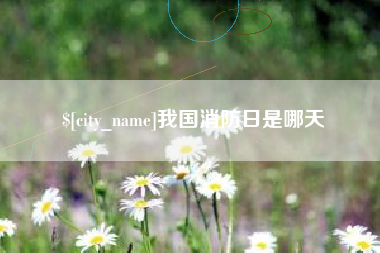 射阳我国消防日是哪天