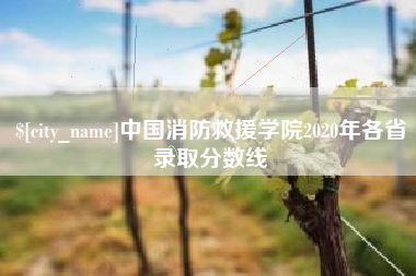 射阳中国消防救援学院2020年各省录取分数线