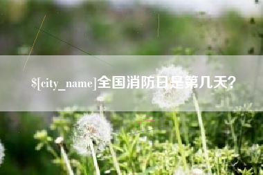 射阳全国消防日是第几天？