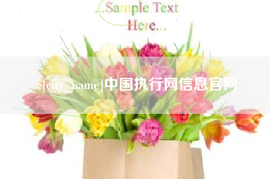 射阳中国执行网信息官网
