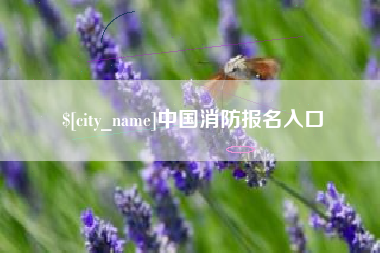 射阳中国消防报名入口