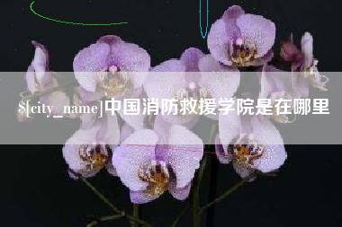 射阳中国消防救援学院是在哪里