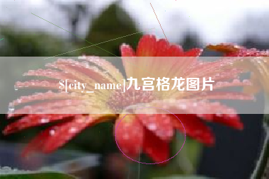射阳九宫格龙图片