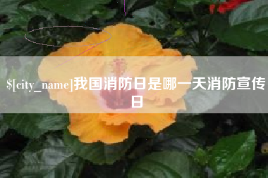 射阳我国消防日是哪一天消防宣传日
