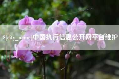 射阳中国执行信息公开网平台维护