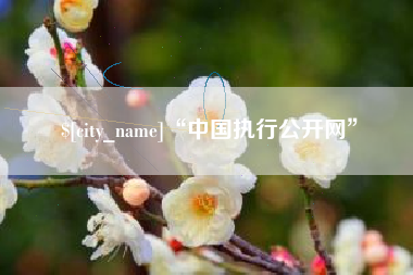 射阳“中国执行公开网”