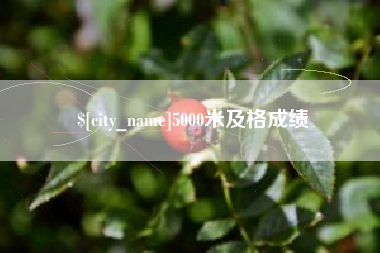 射阳5000米及格成绩
