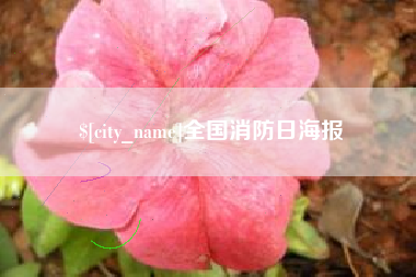 射阳全国消防日海报