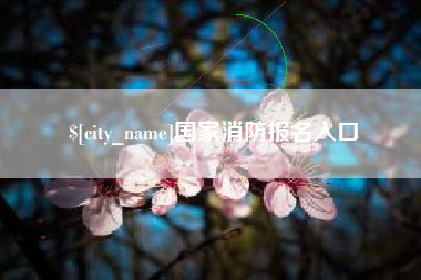 射阳国家消防报名入口