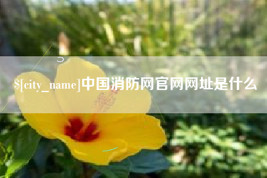 射阳中国消防网官网网址是什么