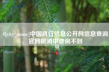 射阳中国执行信息公开网信息查询官网限消中查询不到