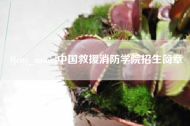 射阳中国救援消防学院招生简章