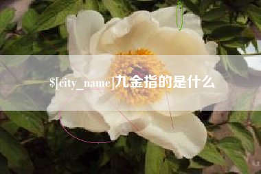 射阳九金指的是什么