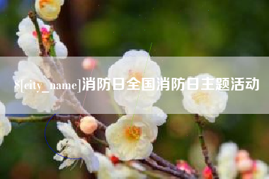 射阳消防日全国消防日主题活动