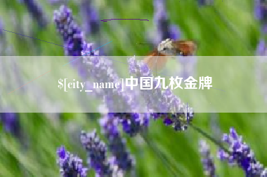 射阳中国九枚金牌
