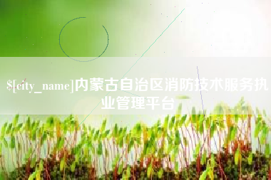 射阳内蒙古自治区消防技术服务执业管理平台