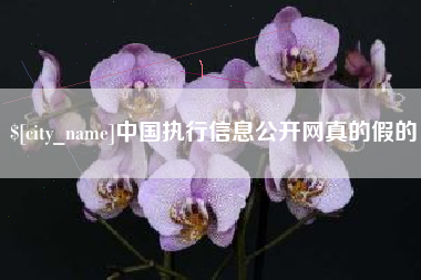 射阳中国执行信息公开网真的假的