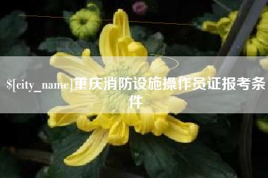 射阳重庆消防设施操作员证报考条件