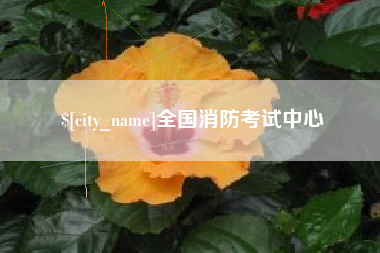 射阳全国消防考试中心