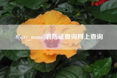 射阳消防证查询网上查询