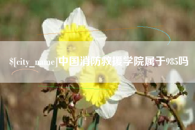 射阳中国消防救援学院属于985吗